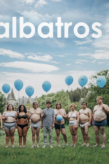 Albatros