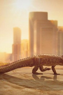 Cities: Nature's New Wild