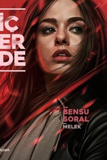 Icerde 1ª Temporada Completa