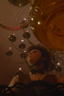 The Stars And You