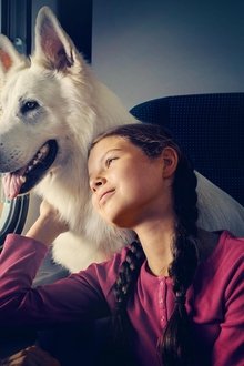 Lampo-il-cane-viaggiatore