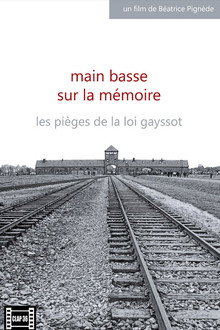Main basse sur la mémoire, les pièges de la loi Gayssot