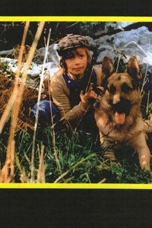 Zanna Bianca e il grande Kid