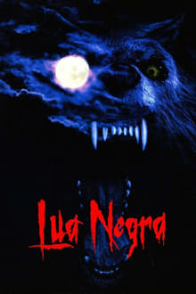 Poster do filme Lua Negra