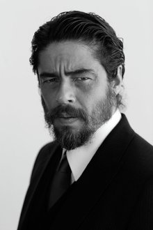 Photo of Benicio del Toro