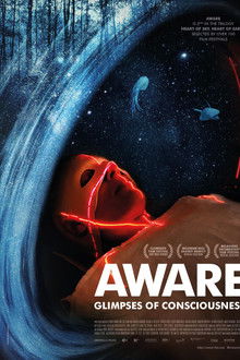Aware Reise in das Bewusstsein WEB DL 