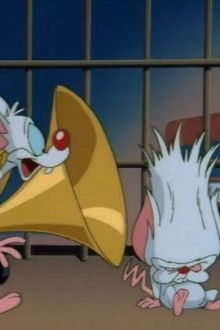 Animaniacs - Season 1