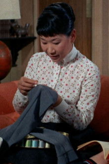 The Courtship of Eddie's Father - Season 1