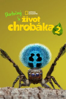 2. sezóna