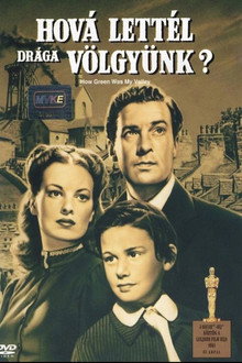 Hová lettél, drága völgyünk?