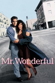 Mr. Wonderful movie poster