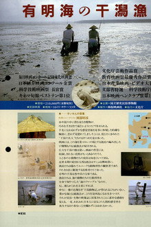 Tideland Fishing The Ariake Sea　