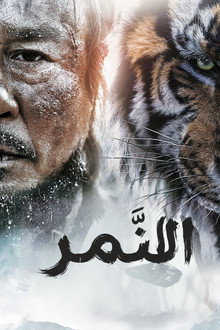 النمر: حكاية صياد قديم