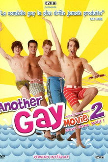 Another Gay Movie 2: Gays Gone Wild!
