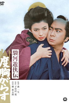 駿河遊侠伝　度胸がらす