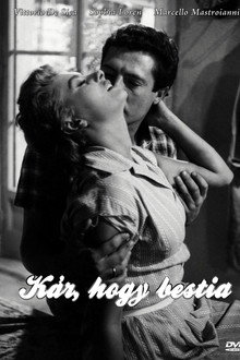 Kár, hogy bestia