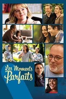 Poster da série Les moments parfaits