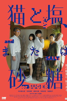 Cat and Salt, or Sugar