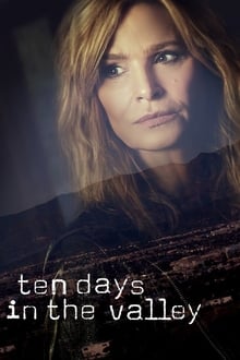 10 Days in the Valley tv show poster