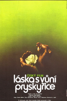 Láska s vůní pryskyřice