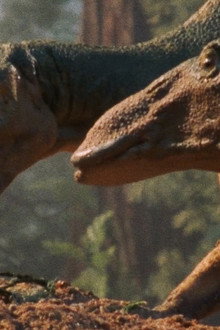 Dinosaur!