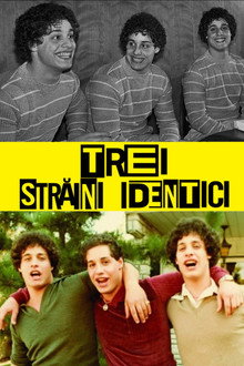 Trei străini identici