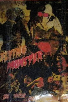 Flying Monster