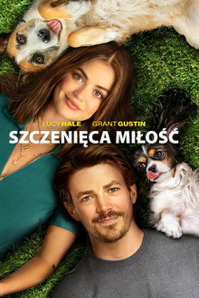 Szczenięca miłość