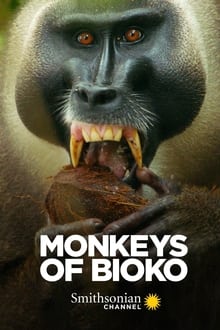 Poster do filme Monkeys of Bioko