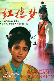 红楼梦第一部：宝黛相会