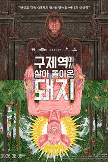 구제역에서 살아 돌아온 돼지
