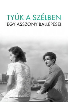 Tyúk a szélben - Egy asszony ballépései