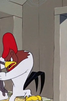 The Rattled Rooster