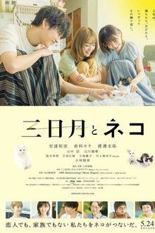 Crescent Moon and Cats