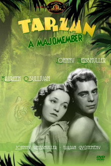 Tarzan, a majomember