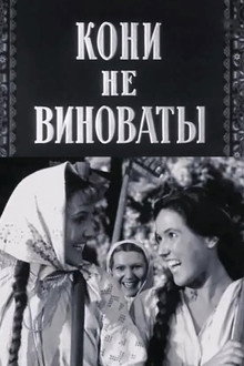 Кони не виноваты
