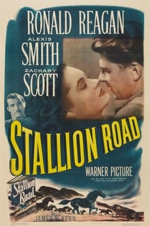 Poster do filme Stallion Road