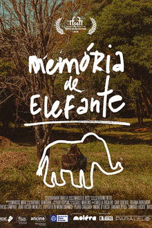Memória de Elefante