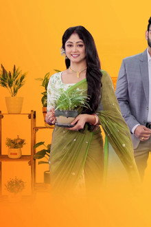Kothha