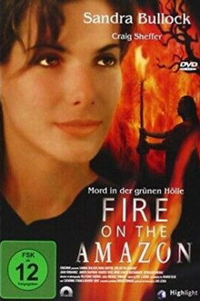 Fire on the Amazon