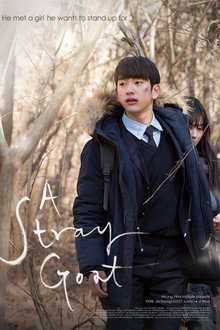 Copos De Nieve // A Stray Goat