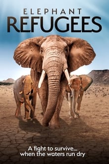 Poster do filme Elephant Refugees