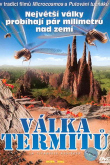 Válka termitů