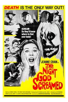 Poster do filme The Night God Screamed