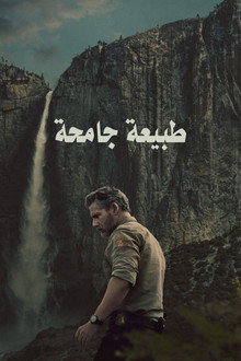 طبيعة جامحة