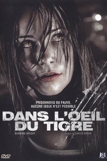 Dans l