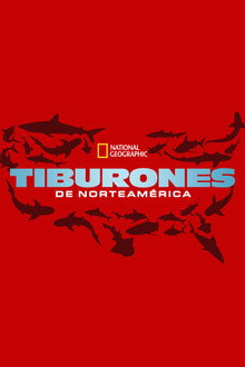 United Sharks of America