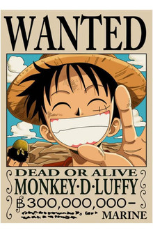 海贼王特别篇：路飞的绝技