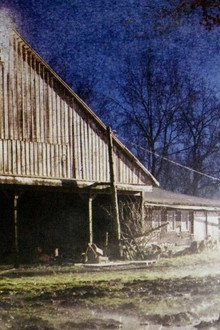 The Pig Farm