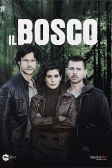 Poster da série Il Bosco